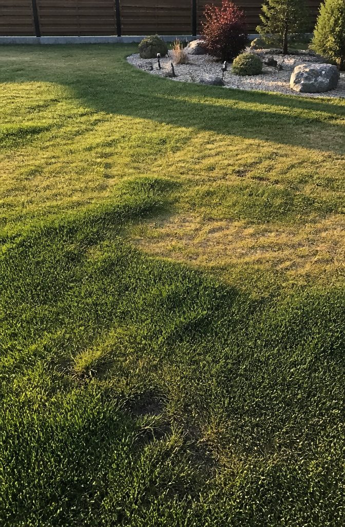 Why Is It Bad to Mow Your Lawn Too Short? 9 A lawn with varying grass heights, creating a patchwork effect.